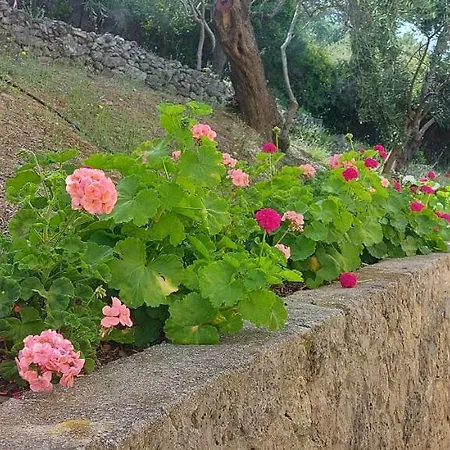 Pelagos Agios Gordios