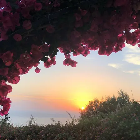 Lejlighed Pelagos Agios Gordios Agios Gordios (Corfu)