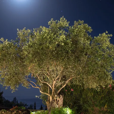 Pelagos Agios Gordios 아파트 *