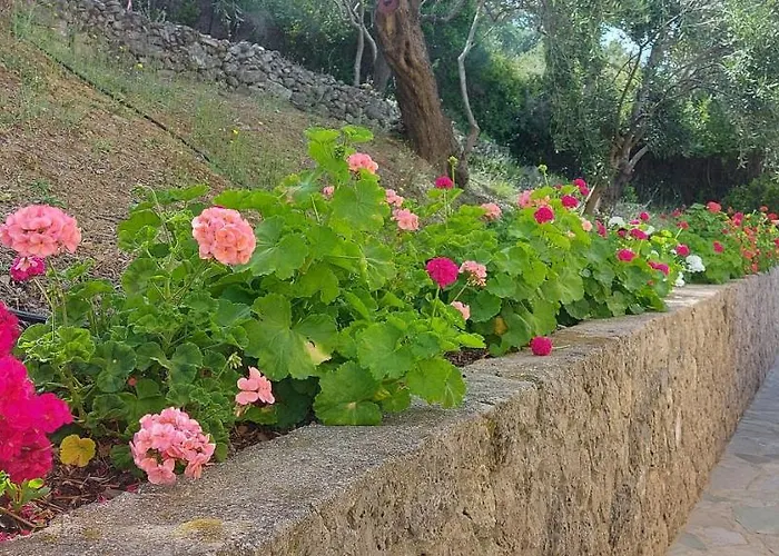 Pelagos Agios Gordios